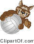 Vector Illustration of a Cartoon Wolf Mascot Grabbing a Volleyball by Mascot Junction