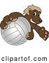 Vector Illustration of a Cartoon Wolverine Mascot Grabbing a Volleyball by Mascot Junction