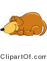 Vector Illustration of a Hound Dog Mascot Curled up and Sleeping by Mascot Junction