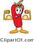 Vector Illustration of a Red Hot Chili Pepper Mascot Flexing His Arm Muscles by Mascot Junction