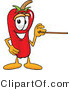 Vector Illustration of a Red Hot Chili Pepper Mascot Holding a Pointer Stick by Mascot Junction