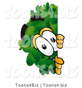 Illustration of a Cartoon Tree Mascot Peeking Around a Corner by Mascot Junction