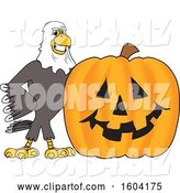 Vector Illustration of a Cartoon Bald Eagle Mascot with a Halloween Pumpkin by Mascot Junction