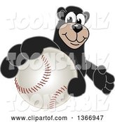 Vector Illustration of a Cartoon Black Bear School Mascot Grabbing a Baseball by Mascot Junction