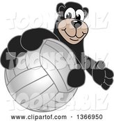 Vector Illustration of a Cartoon Black Bear School Mascot Grabbing a Volleyball by Mascot Junction