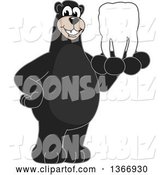Vector Illustration of a Cartoon Black Bear School Mascot Holding a Tooth by Toons4Biz