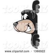 Vector Illustration of a Cartoon Black Bear School Mascot Looking Around a Sign by Mascot Junction