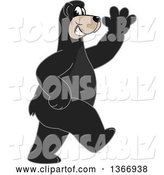 Vector Illustration of a Cartoon Black Bear School Mascot Walking and Waving by Mascot Junction