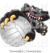 Vector Illustration of a Cartoon Black Jaguar Mascot Grabbing a Volleyball by Mascot Junction