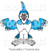 Vector Illustration of a Cartoon Blue Jay Mascot Flexing by Mascot Junction