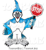 Vector Illustration of a Cartoon Blue Jay Mascot Holding a Stop Sign by Mascot Junction