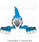 Vector Illustration of a Cartoon Blue Jay Mascot Holding up a Sign by Mascot Junction