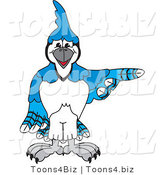 Vector Illustration of a Cartoon Blue Jay Mascot Pointing Right by Mascot Junction