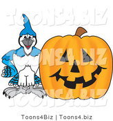 Vector Illustration of a Cartoon Blue Jay Mascot with a Halloween Pumpkin by Toons4Biz