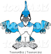 Vector Illustration of a Cartoon Blue Jay Mascot with Big Muscles by Mascot Junction