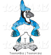 Vector Illustration of a Cartoon Blue Jay Mascot with His Hands on His Hips by Mascot Junction