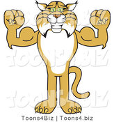 Vector Illustration of a Cartoon Bobcat Mascot Flexing by Mascot Junction