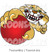 Vector Illustration of a Cartoon Bobcat Mascot Grabbing a Red Ball by Mascot Junction