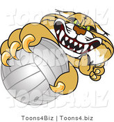 Vector Illustration of a Cartoon Bobcat Mascot Grabbing a Volleyball by Mascot Junction