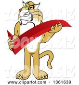 Vector Illustration of a Cartoon Bobcat Mascot Holding a Check Mark, Symbolizing Acceptance by Mascot Junction