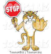Vector Illustration of a Cartoon Bobcat Mascot Holding a Stop Sign by Mascot Junction
