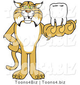 Vector Illustration of a Cartoon Bobcat Mascot Holding a Tooth by Mascot Junction