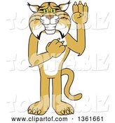 Vector Illustration of a Cartoon Bobcat Mascot Pledging, Symbolizing Integrity by Mascot Junction