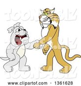 Vector Illustration of a Cartoon Bobcat Mascot Shaking Hands with a Bulldog, Symbolizing Acceptance and Introduction by Mascot Junction
