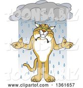 Vector Illustration of a Cartoon Bobcat Mascot Shrugging in the Rain, Symbolizing Acceptance by Toons4Biz