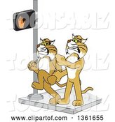 Vector Illustration of a Cartoon Bobcat Mascot Stopping Another from Using a Crosswalk at the Wrong Time, Symbolizing Safety by Mascot Junction