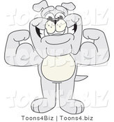 Vector Illustration of a Cartoon Bulldog Mascot Standing and Flexing by Mascot Junction