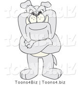 Vector Illustration of a Cartoon Bulldog Mascot Standing with His Arms Crossed by Mascot Junction