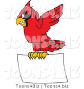 Vector Illustration of a Cartoon Cardinal Mascot Flying with a Blank Sign by Mascot Junction