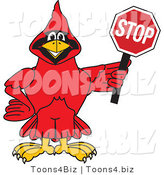 Vector Illustration of a Cartoon Cardinal Mascot Holding a Stop Sign by Mascot Junction
