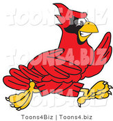 Vector Illustration of a Cartoon Cardinal Mascot Running by Mascot Junction
