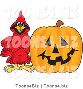 Vector Illustration of a Cartoon Cardinal Mascot with a Halloween Pumpkin by Mascot Junction