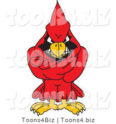 Vector Illustration of a Cartoon Cardinal Mascot with His Arms Crossed by Mascot Junction