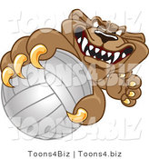 Vector Illustration of a Cartoon Cougar Mascot Character Grabbing a Volleyball by Toons4Biz