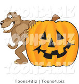 Vector Illustration of a Cartoon Cougar Mascot Character with a Pumpkin by Mascot Junction