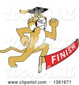Vector Illustration of a Cartoon Determined Bobcat Mascot Graduate Running to a Finish Line by Toons4Biz