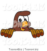 Vector Illustration of a Cartoon Falcon Mascot Character Looking over a Surface by Toons4Biz