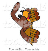 Vector Illustration of a Cartoon Falcon Mascot Character Peeking by Mascot Junction