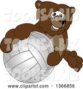 Vector Illustration of a Cartoon Grizzly Bear School Mascot Grabbing a Volleyball by Toons4Biz