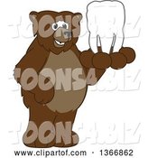 Vector Illustration of a Cartoon Grizzly Bear School Mascot Holding a Tooth by Toons4Biz
