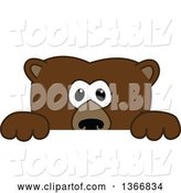 Vector Illustration of a Cartoon Grizzly Bear School Mascot Looking over a Sign by Toons4Biz