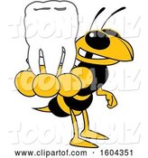 Vector Illustration of a Cartoon Hornet School Mascot Holding a Tooth by Mascot Junction