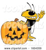Vector Illustration of a Cartoon Hornet School Mascot with a Halloween Pumpkin by Mascot Junction
