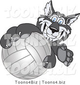 Vector Illustration of a Cartoon Husky Mascot Grabbing a Volleyball by Toons4Biz