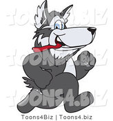 Vector Illustration of a Cartoon Husky Mascot Running by Mascot Junction