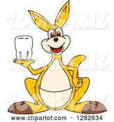 Vector Illustration of a Cartoon Kangaroo Mascot Holding a Tooth by Mascot Junction